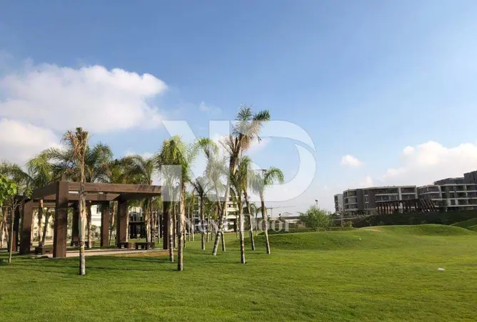 109927981 - Property Image 3