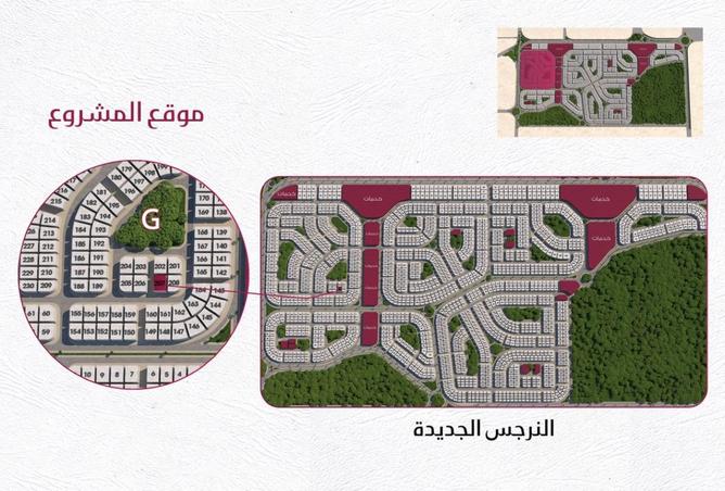 55498041 - صورة العقار 2