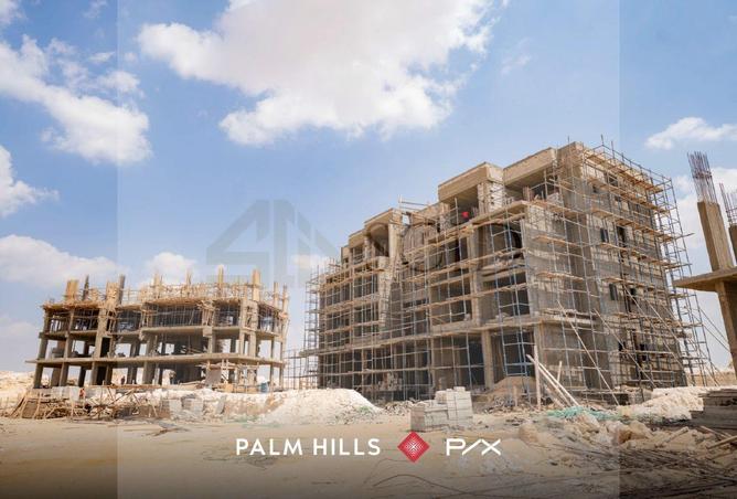 55749878 - Property Image 3