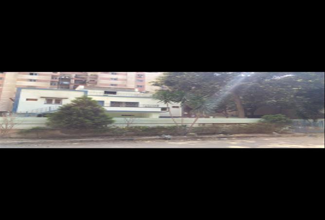 88118959 - صورة العقار 3