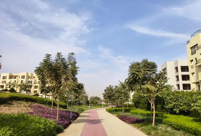 8585363 - الصورة الرئيسية للعقار