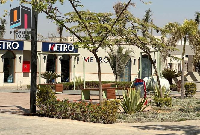 8584841 - Property Image 2