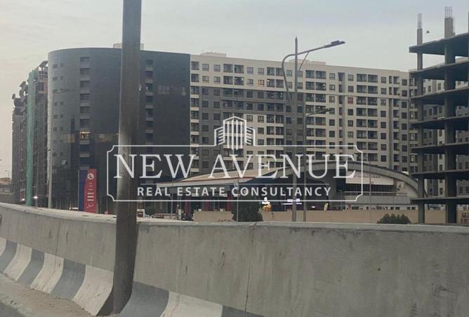 8595599 - Property Image 3