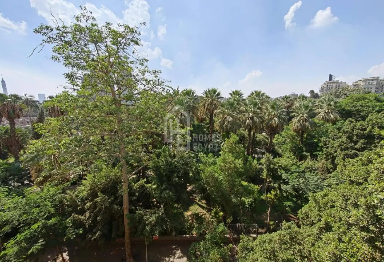 118538642 - الصورة الرئيسية للعقار