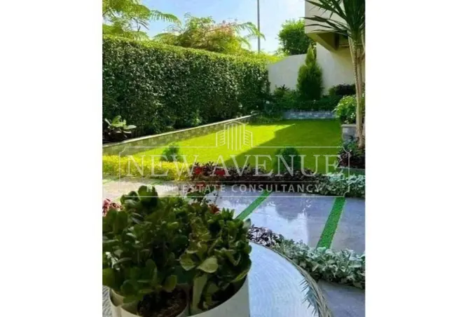 111605826 - Property Image 3