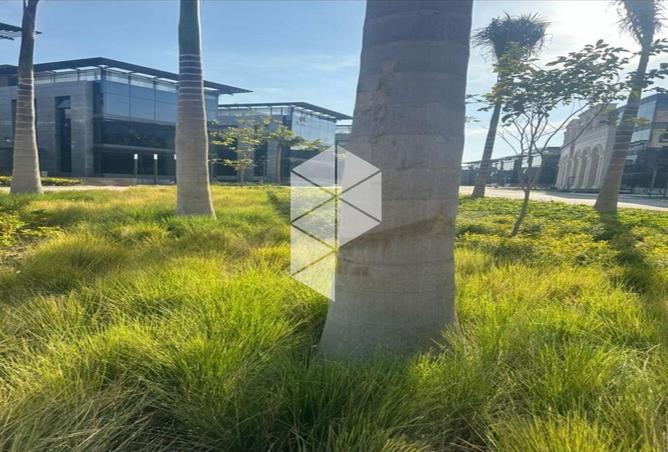 66955417 - صورة العقار 2