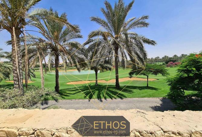 8568682 - Property Image 2