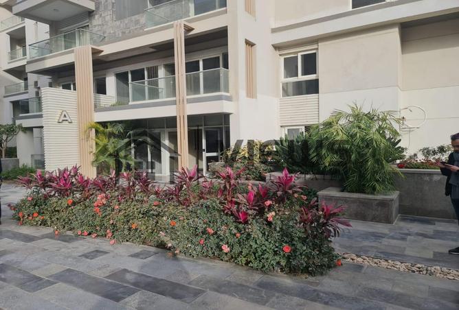 70374977 - صورة العقار 2