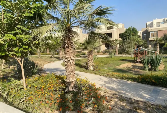 120364044 - Property Image 3