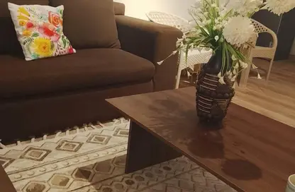 Apartment - 1 Bedroom - 1 Bathroom for rent in Al Gezira St. - South Investors Area - New Cairo City - Cairo