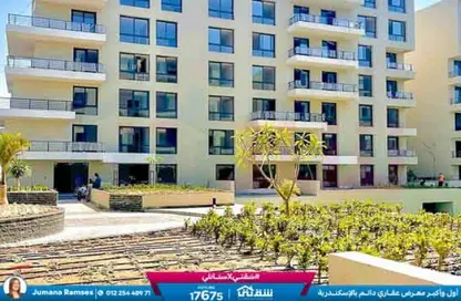 شقة - 3 غرف نوم - 1 حمام للبيع في بالم هيلز - كمبوندات الاسكندرية - الاسكندرية