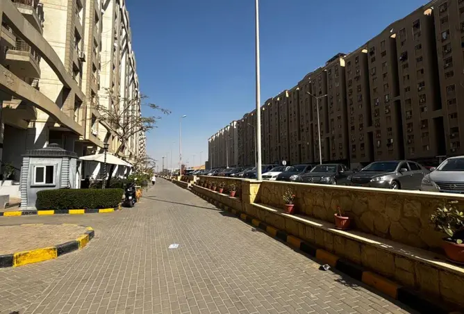 66172976 - صورة العقار 3