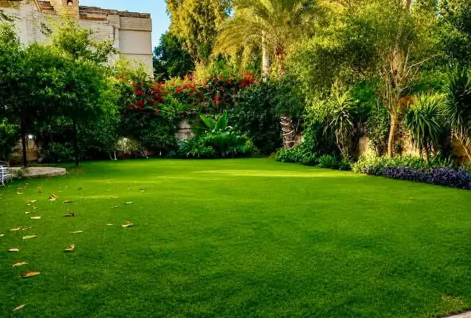 118030393 - Property Image 2