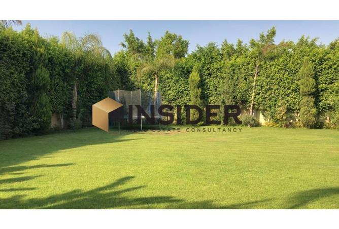 55761144 - صورة العقار 3