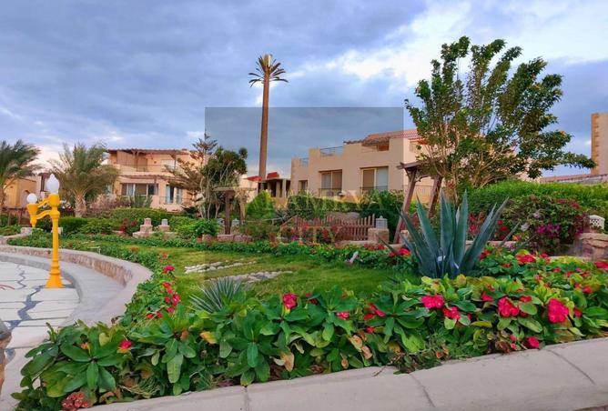 56496534 - Property Image 2