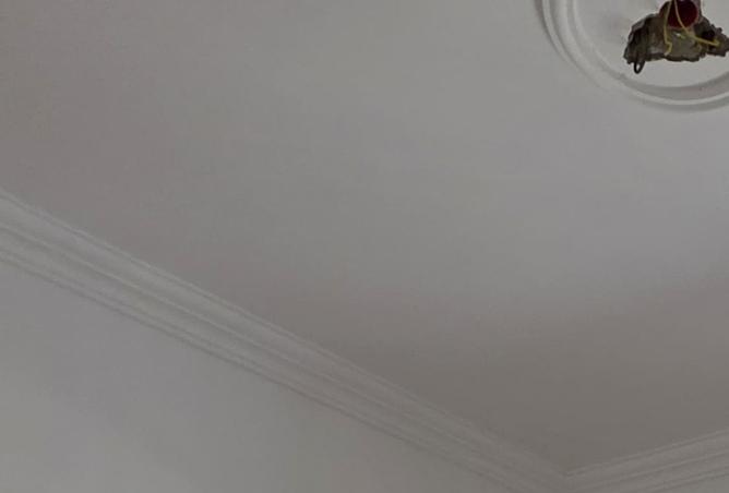 100650025 - صورة العقار 3