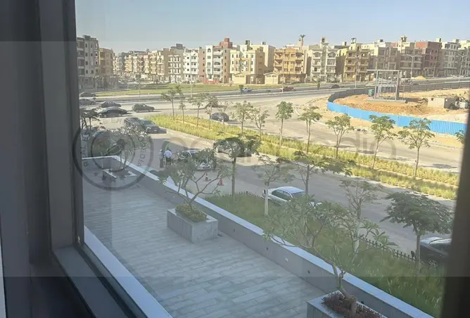 113807733 - صورة العقار 3