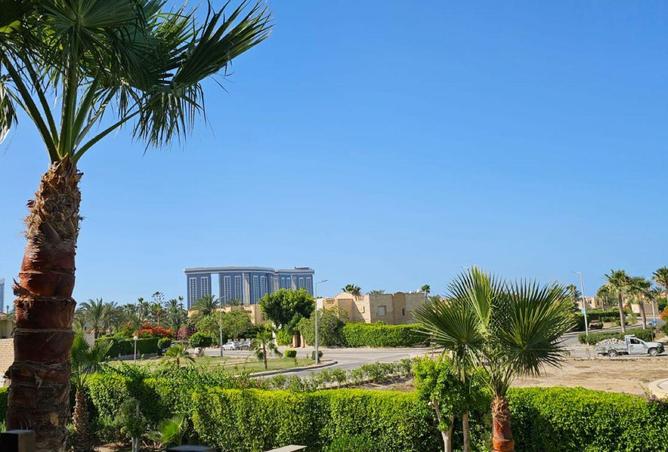 79994316 - صورة العقار 2