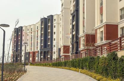 Apartment - 3 Bedrooms - 3 Bathrooms for sale in Alex West - Alexandria Compounds - Alexandria