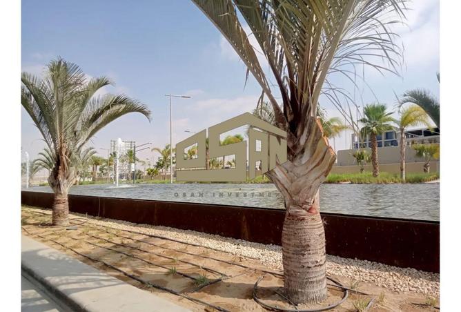 8631281 - صورة العقار 3