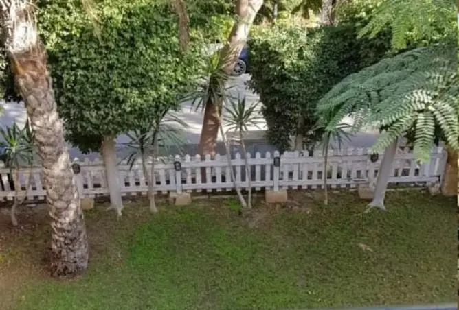 118546680 - صورة العقار 2