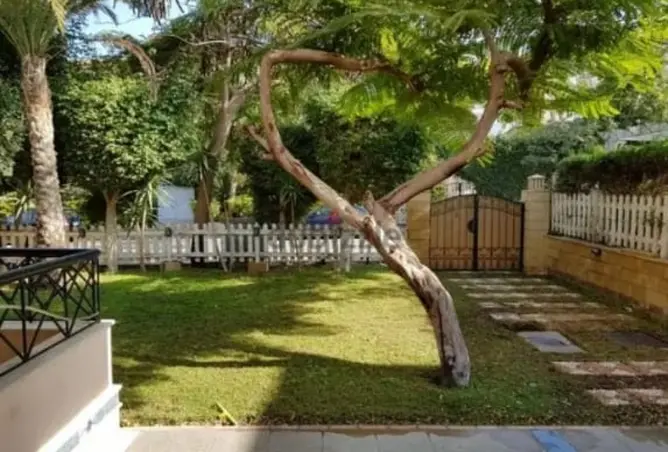 118546680 - Property Image 2