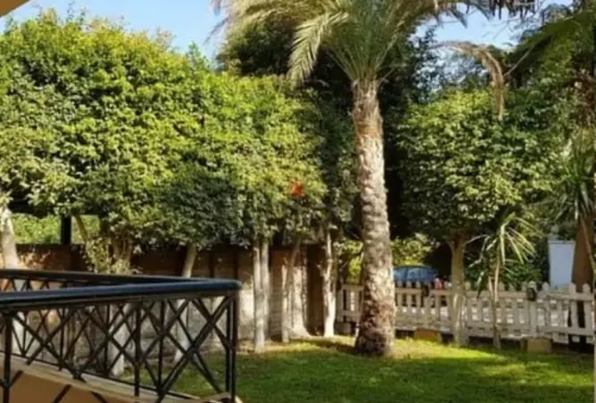 118546680 - صورة العقار 3