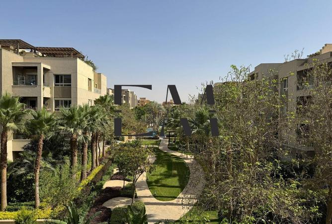 8687594 - صورة العقار 3