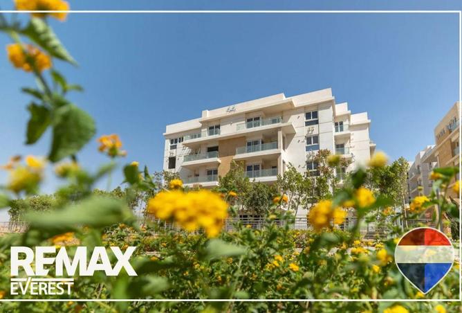 61204922 - صورة العقار 3