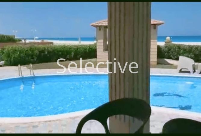 56254766 - Property Image 2