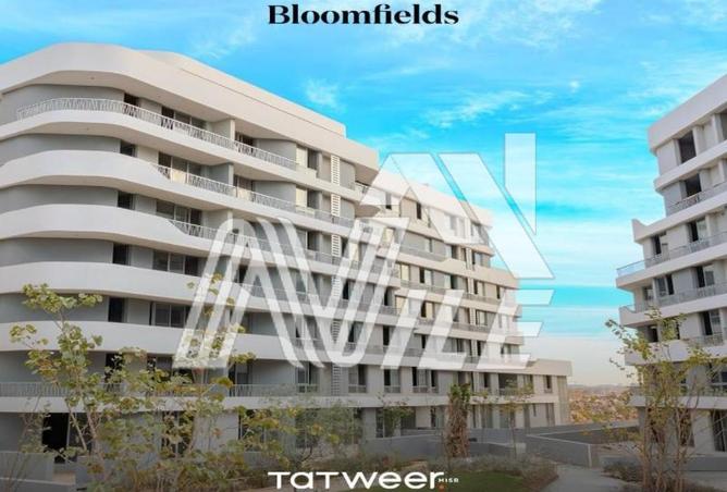 65919266 - الصورة الرئيسية للعقار