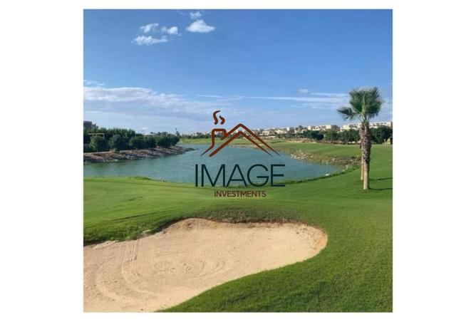 56006501 - Property Image 3