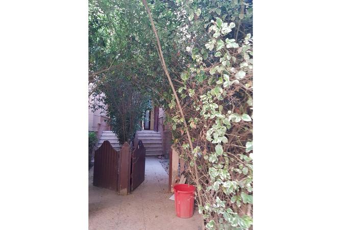 83137559 - Property Image 3