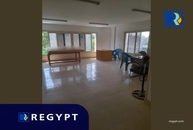 117522611 - Property Image 3
