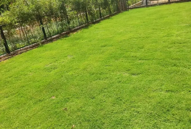 109639664 - Property Image 3