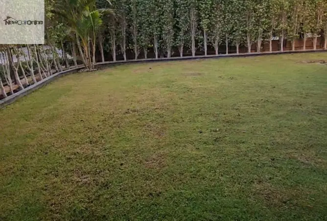 106024381 - Property Image 2