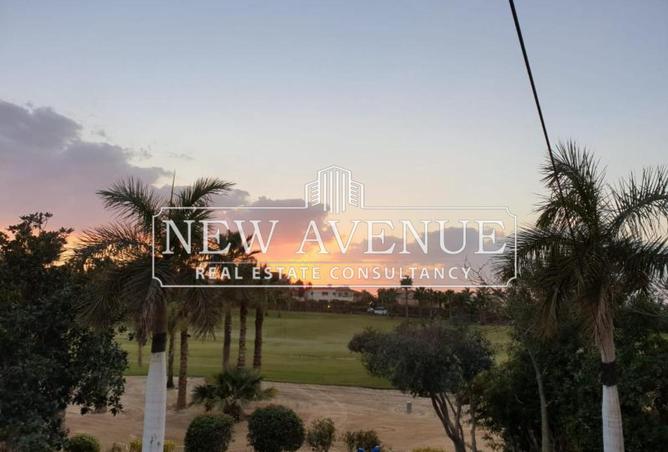 56252295 - صورة العقار 2