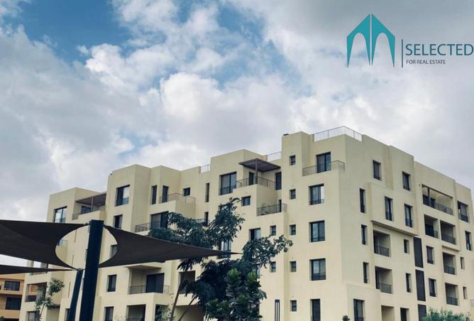 8503869 - Property Image 2