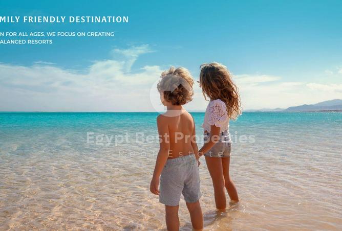 71656598 - صورة العقار 3