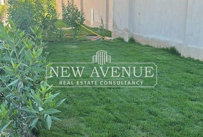 8655847 - Property Image 3