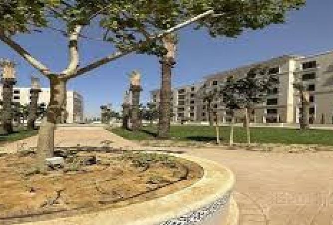 8488139 - صورة العقار 2