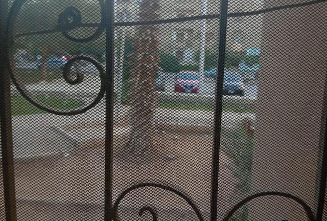 8567812 - صورة العقار 3