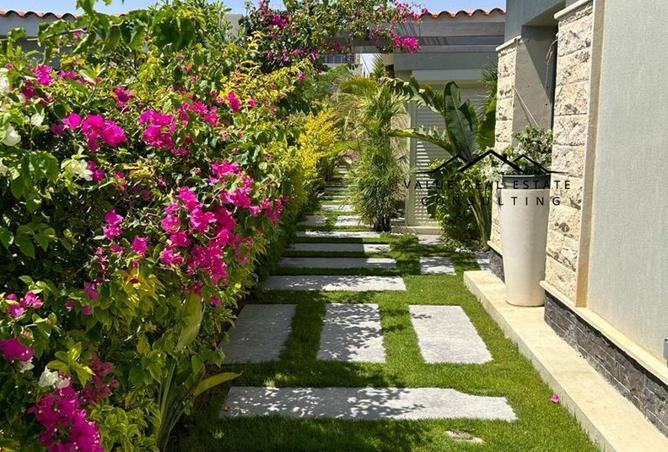 68005225 - صورة العقار 3