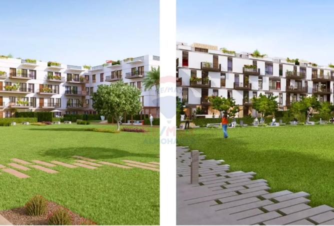 62645722 - Property Image 2