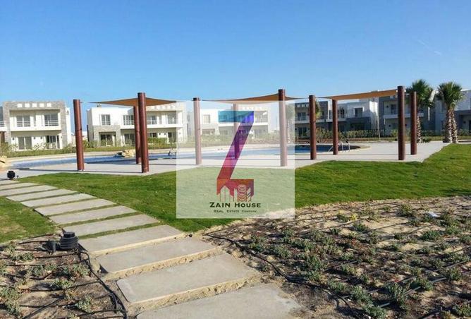 66175801 - Property Image 3