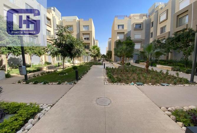 62647700 - صورة العقار 2