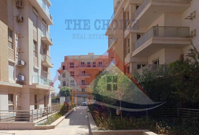 52453070 - Property Image 3