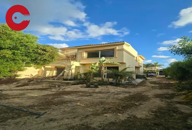115446290 - Property Image 2