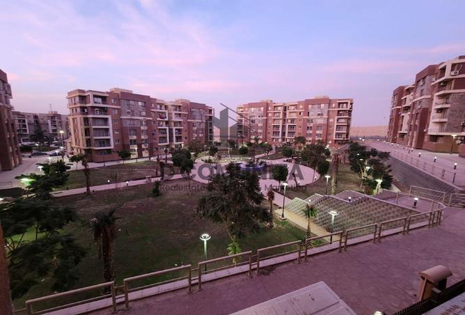 66703277 - Property Main Image