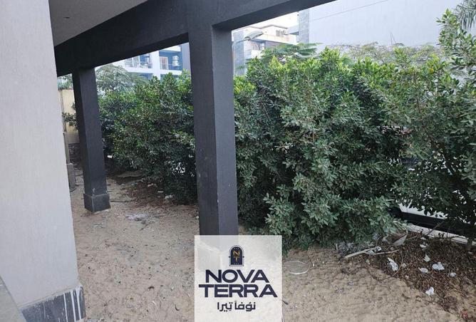 68536490 - Property Image 3